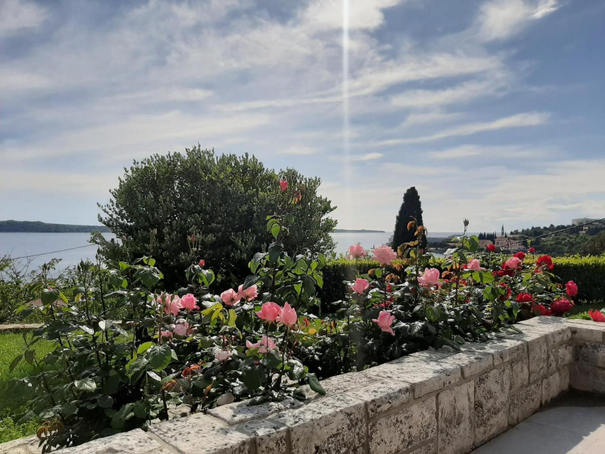 Studio Solare Portoroz Luaran gambar